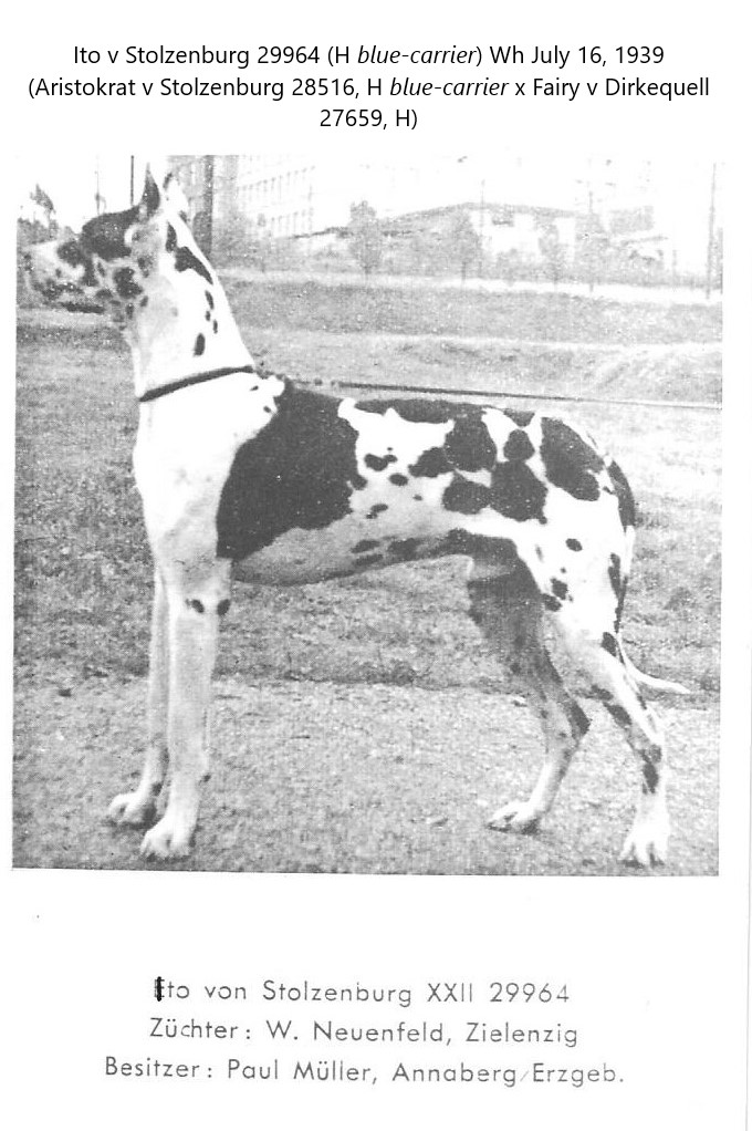Ito von Stolzenburg